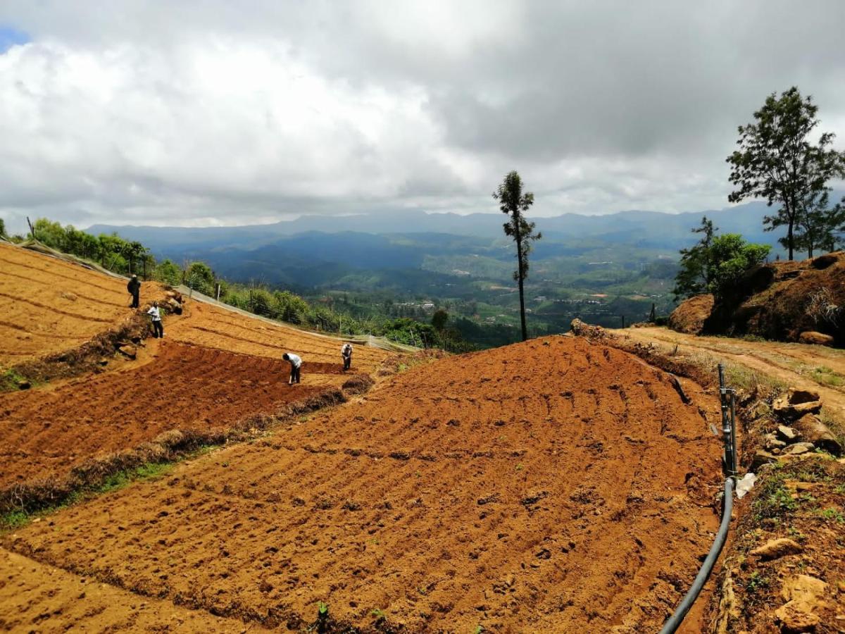Unique View Nuwaraeliya Hotel Nuwara Eliya Esterno foto