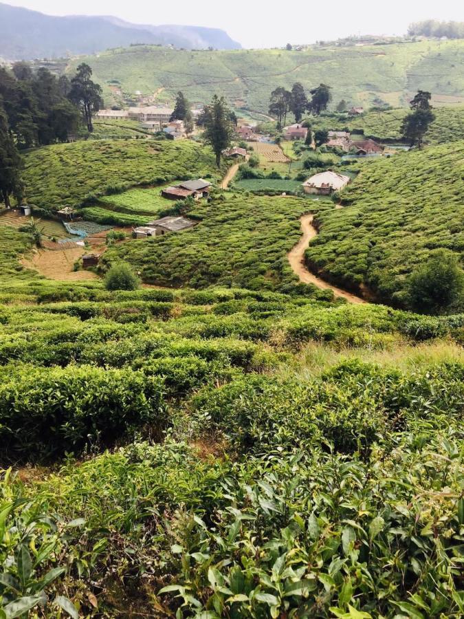 Unique View Nuwaraeliya Hotel Nuwara Eliya Esterno foto